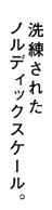 ꂽmfBbNXP[